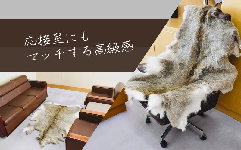 ラグやチェアカバーにもおススメ♪