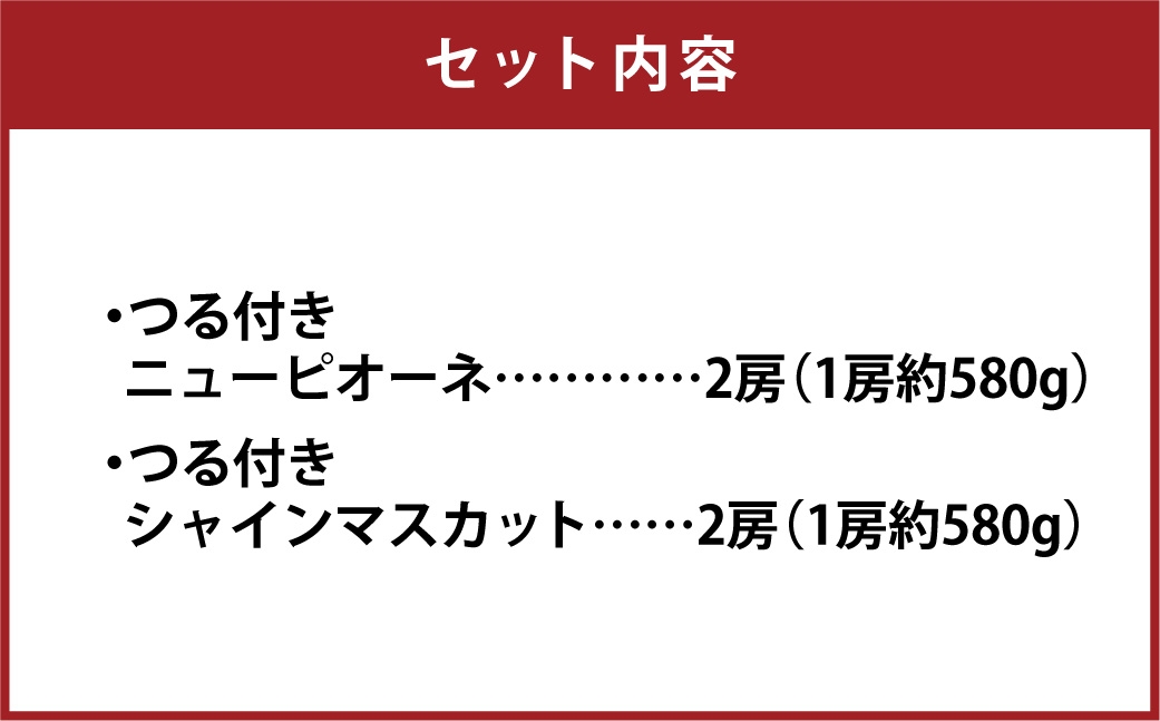 つる付き！ニューピオーネ＆晴王シャインマスカットDセット