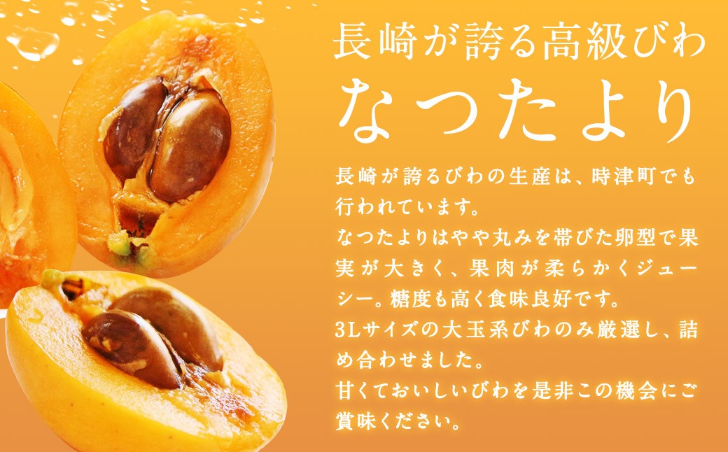 長崎びわ なつたより 約1kg 約250g×4パック 3Lサイズ