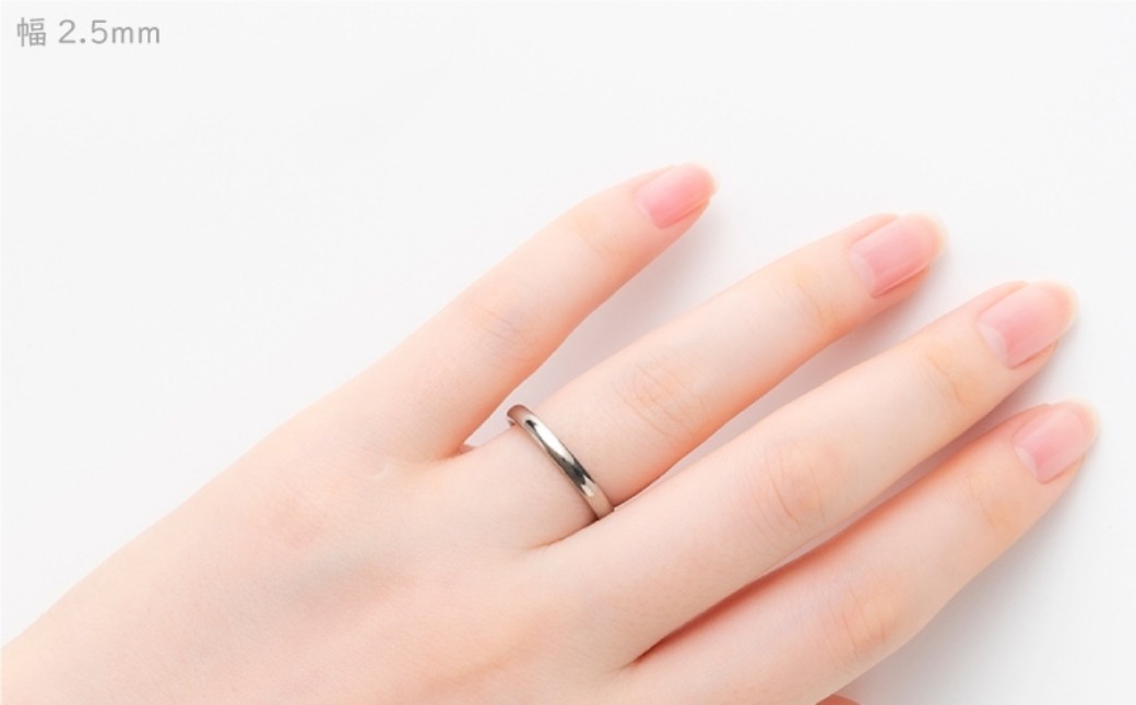 純チタン甲丸リング(幅2.5mm)12号