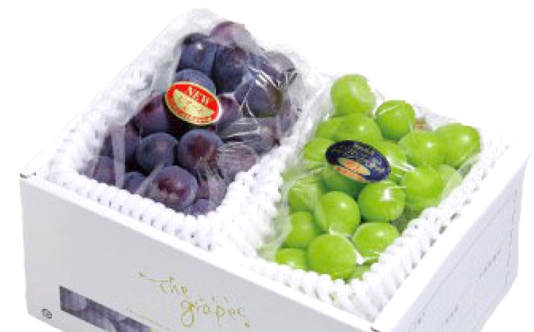 つる付き！ニューピオーネ＆晴王シャインマスカットAセット