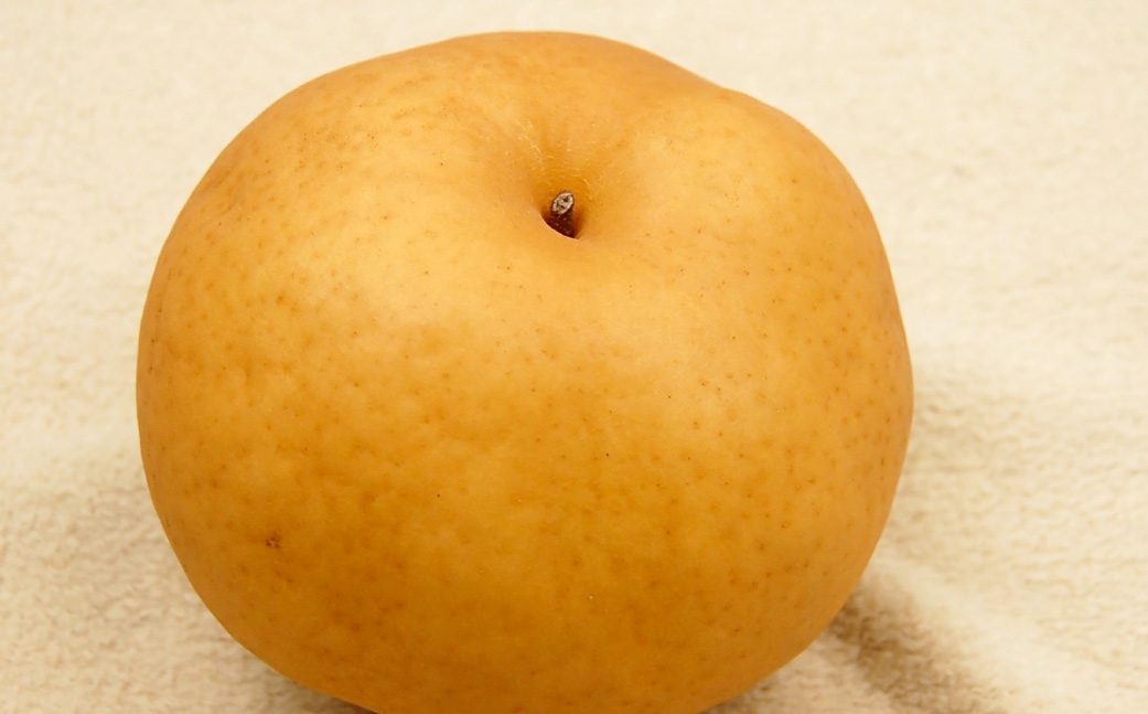 あたご梨約4kg（3～6玉）