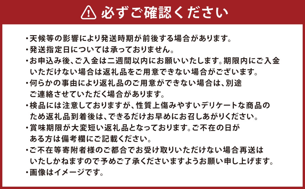 岡山県産黄金桃6玉（1玉240g以上）