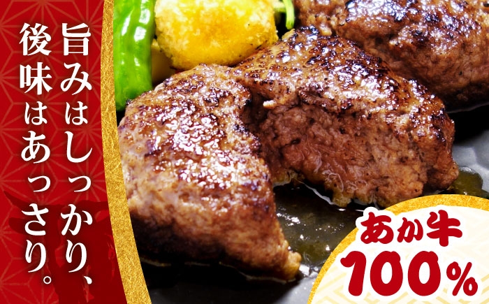 熊本 和牛 あか牛 100％ ハンバーグ 約120g×6個 冷凍 計約720g
