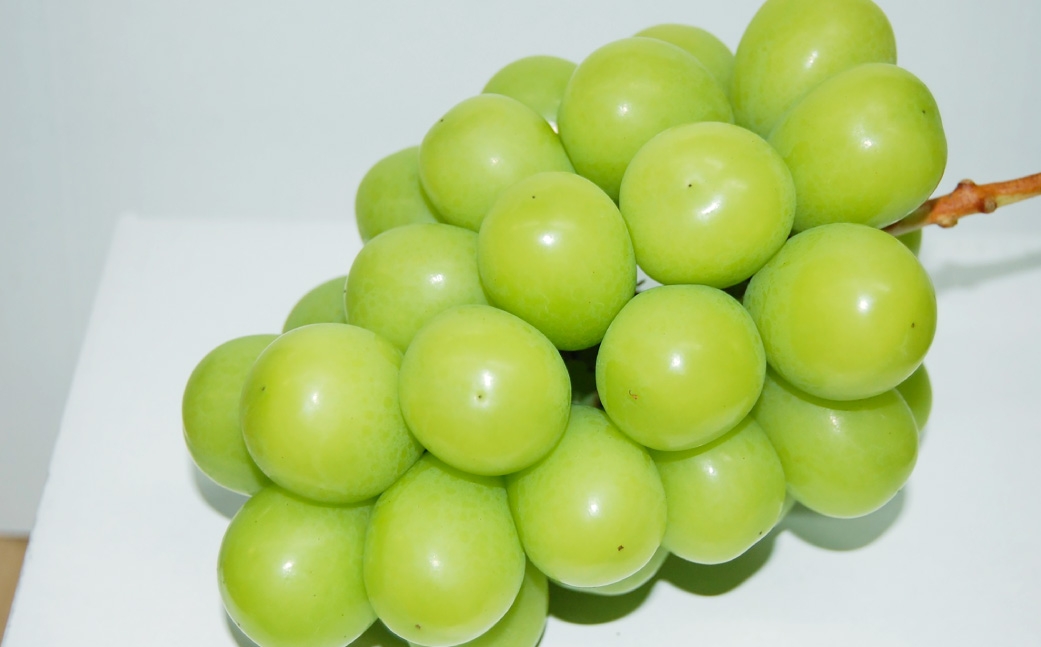 つる付き！ニューピオーネ＆晴王シャインマスカットAセット