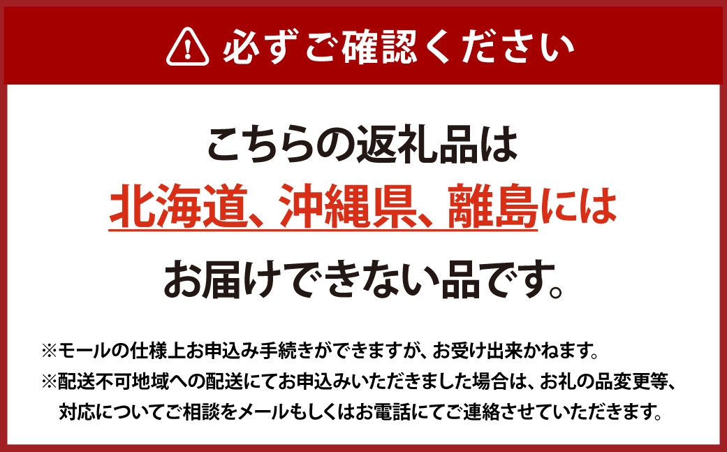 ニューピオーネ 2房（1房480g以上）ハウス栽培