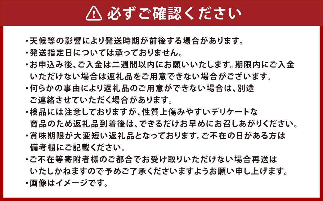 つる付きニューピオーネ3房（1房580g以上）露地栽培