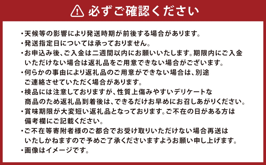 あたご梨大玉2玉