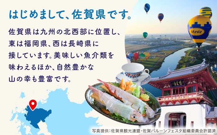cado サーキュレーター STREAM 除菌 家電 国産 ジャパン 日本製