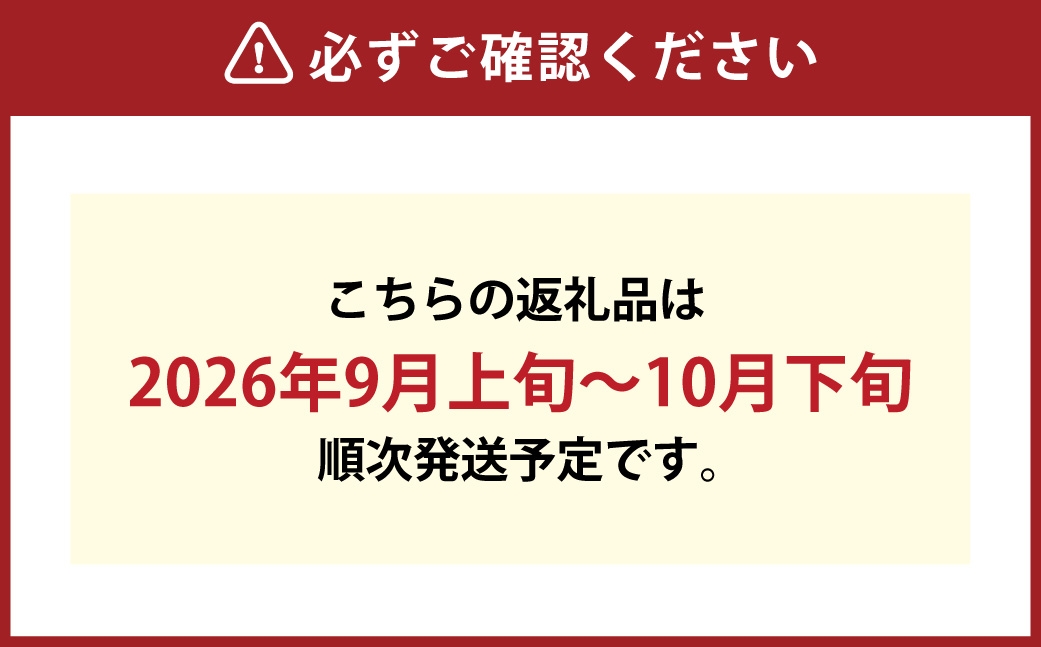 つる付き！ニューピオーネ＆晴王シャインマスカットCセット