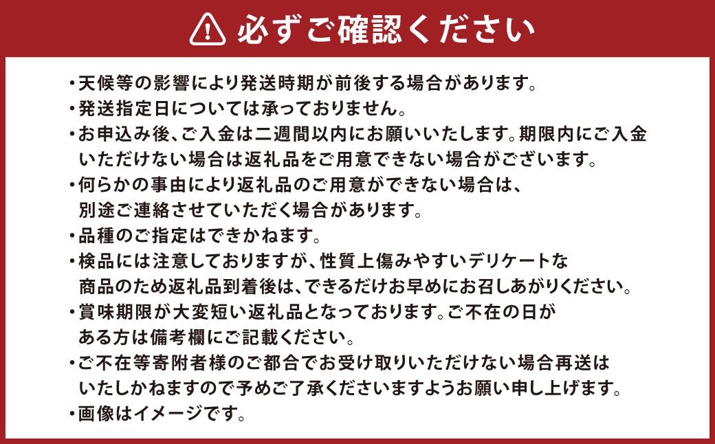 岡山白桃（中世）8玉（1玉220g以上）