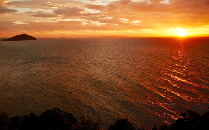 大人気のフレンチ味に新しく仲間入りのイタリアンドレッシング！