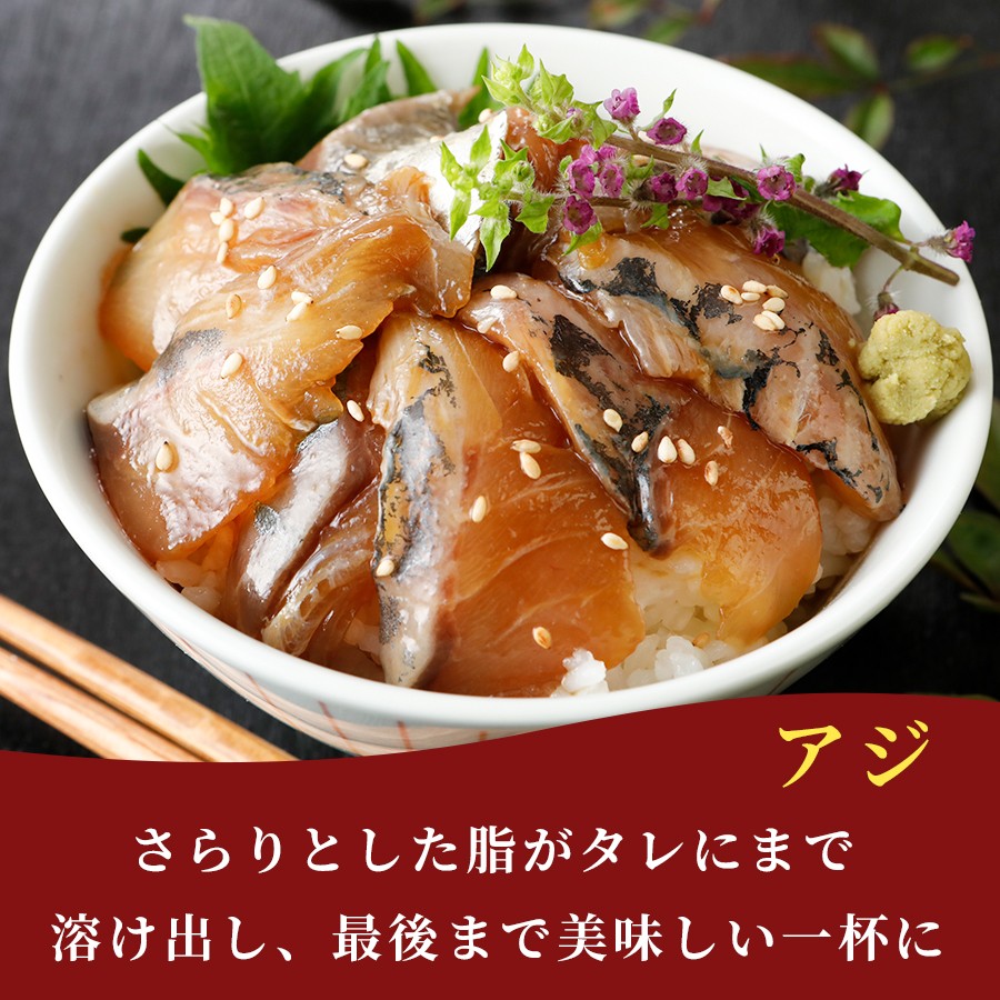 漬け丼 5種×2パック 計10食セット 漬け丼 づけどん ヅケドン づけ丼 ヅケ丼 漬けどん 漬けドン づけドン 海鮮 海鮮丼 