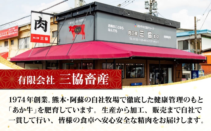 熊本 和牛 あか牛 100％ ハンバーグ 約120g×6個 冷凍 計約720g
