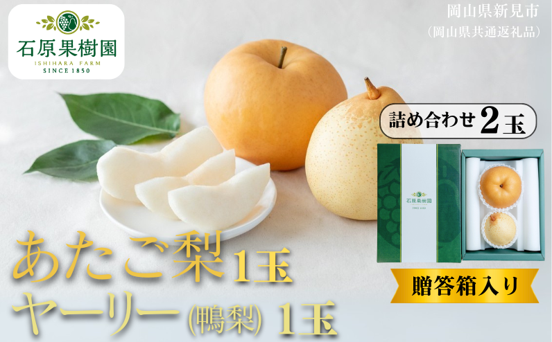 季節の味覚をお楽しみください。