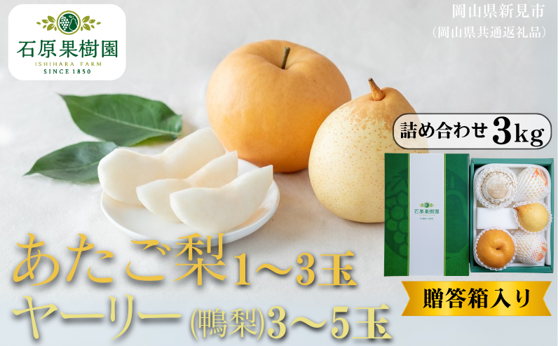 季節の味覚をお楽しみください。