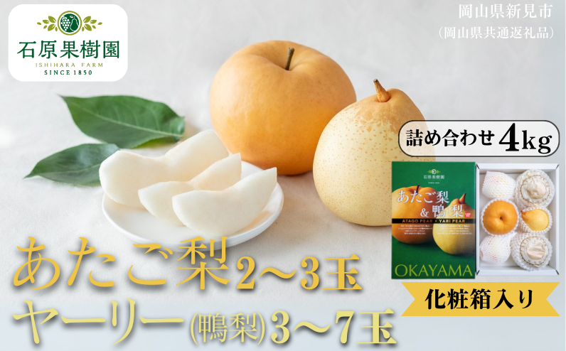 季節の味覚をお楽しみください。