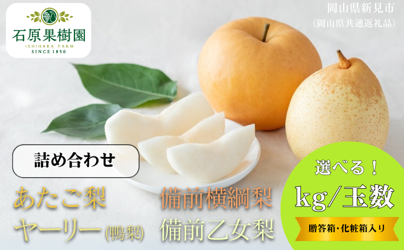 季節の味覚をお楽しみください。