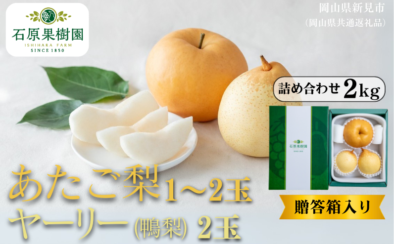 季節の味覚をお楽しみください。