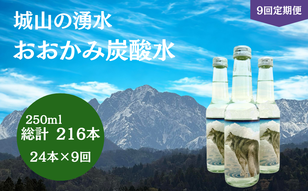 炭酸水 【9回定期便】おおかみ炭酸水 250ml×24本 総計216本 炭酸水 タンサンスイ たんさんすい 湧水 湧き水 軟水