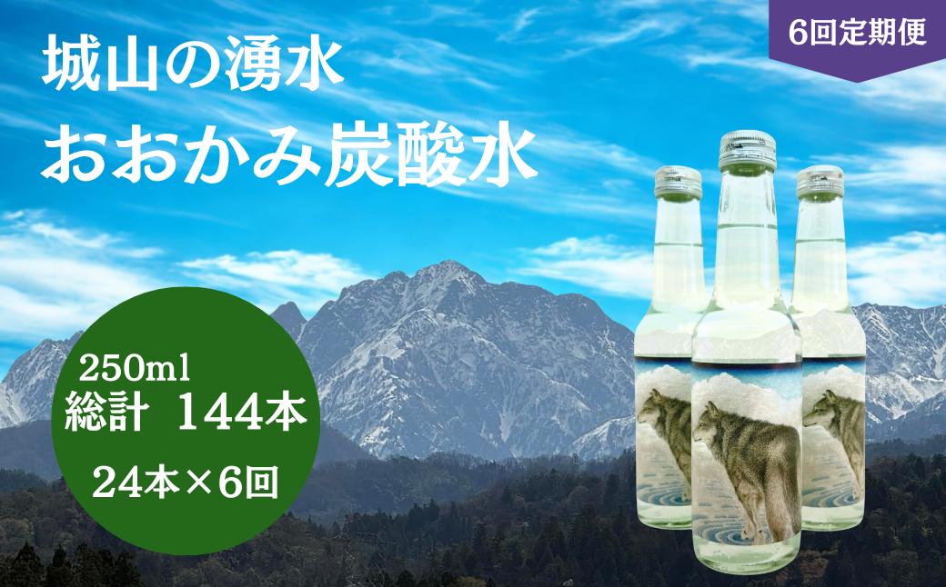 炭酸水 【6回 定期便】 おおかみ炭酸水 250ml×24本 総計 144本 炭酸水 タンサンスイ たんさんすい 湧水 湧き水