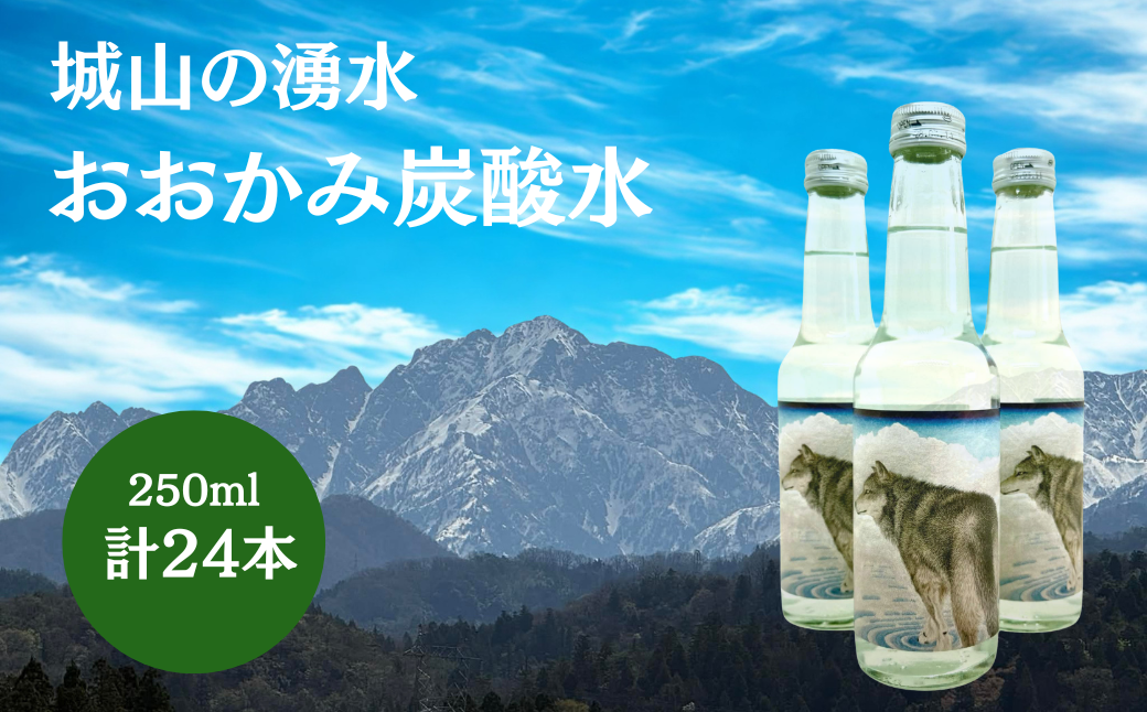 炭酸水 おおかみ炭酸水 250ml×24本 炭酸水 たんさんすい タンサンスイ 炭酸 タンサン 城山の湧水 湧水