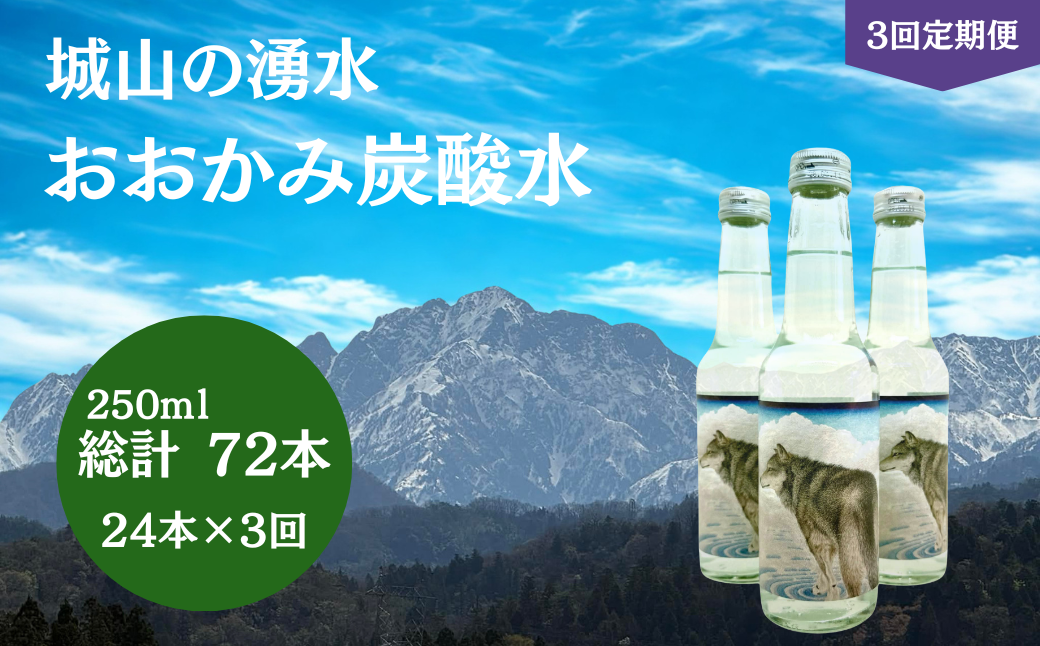 炭酸水 【3回定期便】おおかみ炭酸水 250ml×24本 総計72本 炭酸水 タンサンスイ たんさんすい 湧水 湧き水