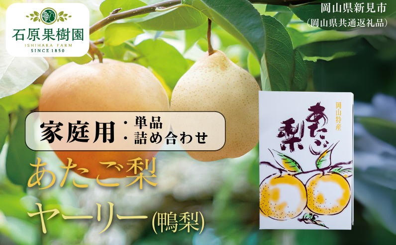 季節の味覚をお楽しみください。