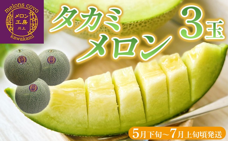 写真はイメージです
