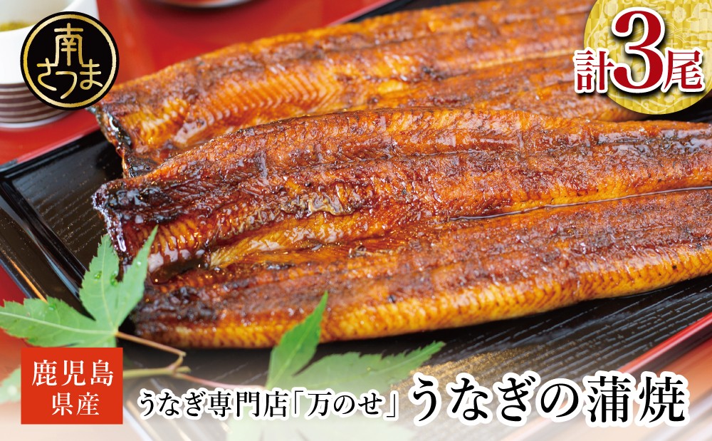 ■うなぎ専門店「万のせ」 うなぎ蒲焼