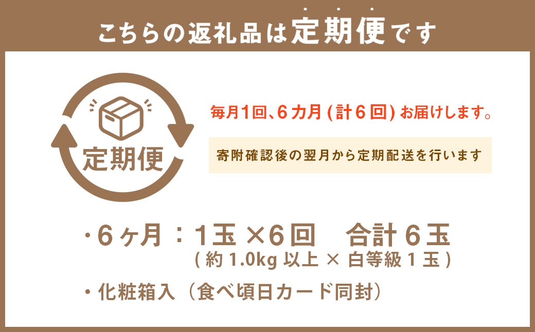 【6ヶ月定期便】静岡県産 高級 アローマメロン 白等級 1玉 約6.0kg以上 化粧箱入