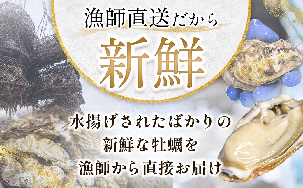 殻に対して身が大粒で、強い甘味と濃厚でクリーミーな味わいが特徴
