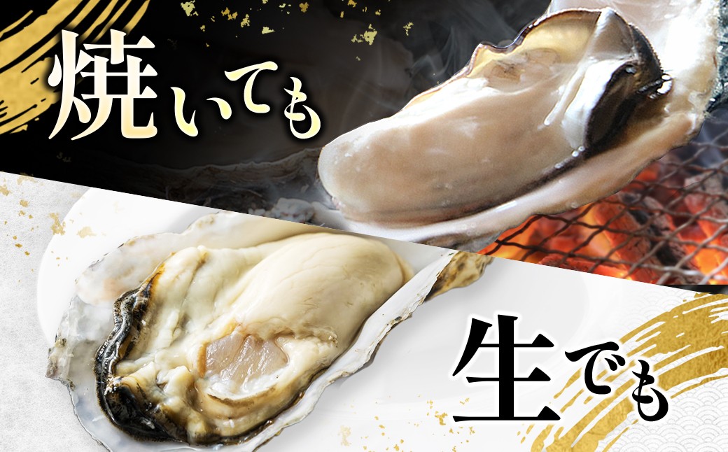 私たち漁師が獲った、新鮮な仙鳳趾名産の牡蠣を直接、お届けします。