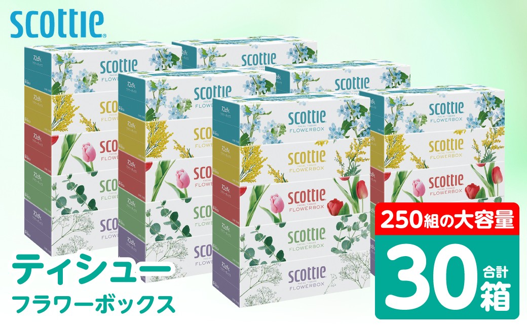 ティシュー フラワーボックス 250組 5箱パック×6セット 合計30箱