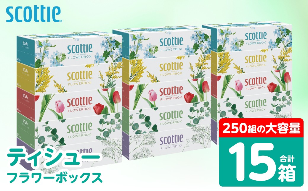 【スコッティ】ティシュー フラワーボックス 250組 5箱パック×3セット 合計15箱