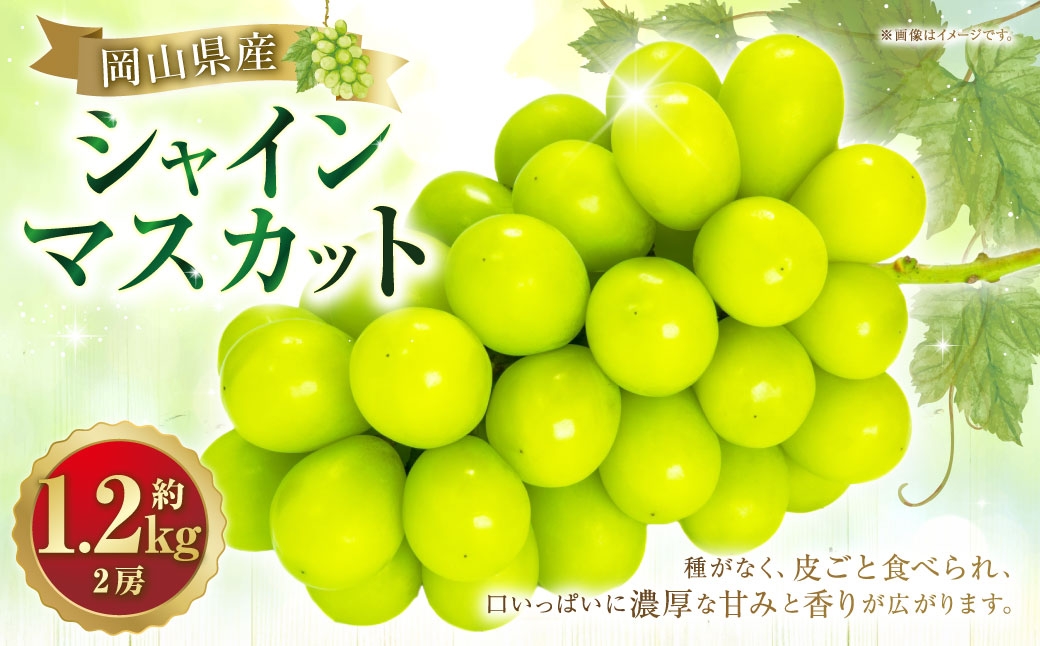 シャインマスカット2房約1.2kg