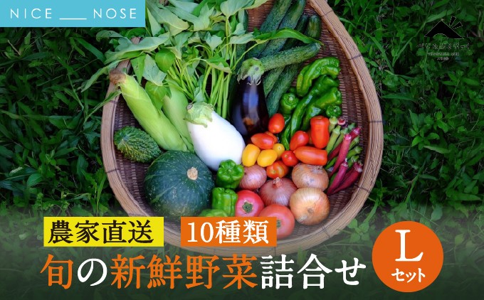 【能勢特産】《農家直送》  べじたぶるぱーくの旬の新鮮野菜詰合せ Lセット (10種類) | べじたぶるぱーく株式会社