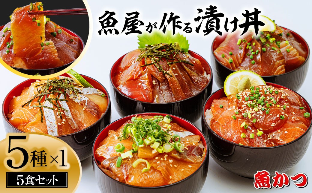 漬け丼 5種×1パック 計5食セット 漬け丼 づけどん ヅケドン づけ丼 ヅケ丼 漬けどん 漬けドン づけドン 海鮮 海鮮丼 