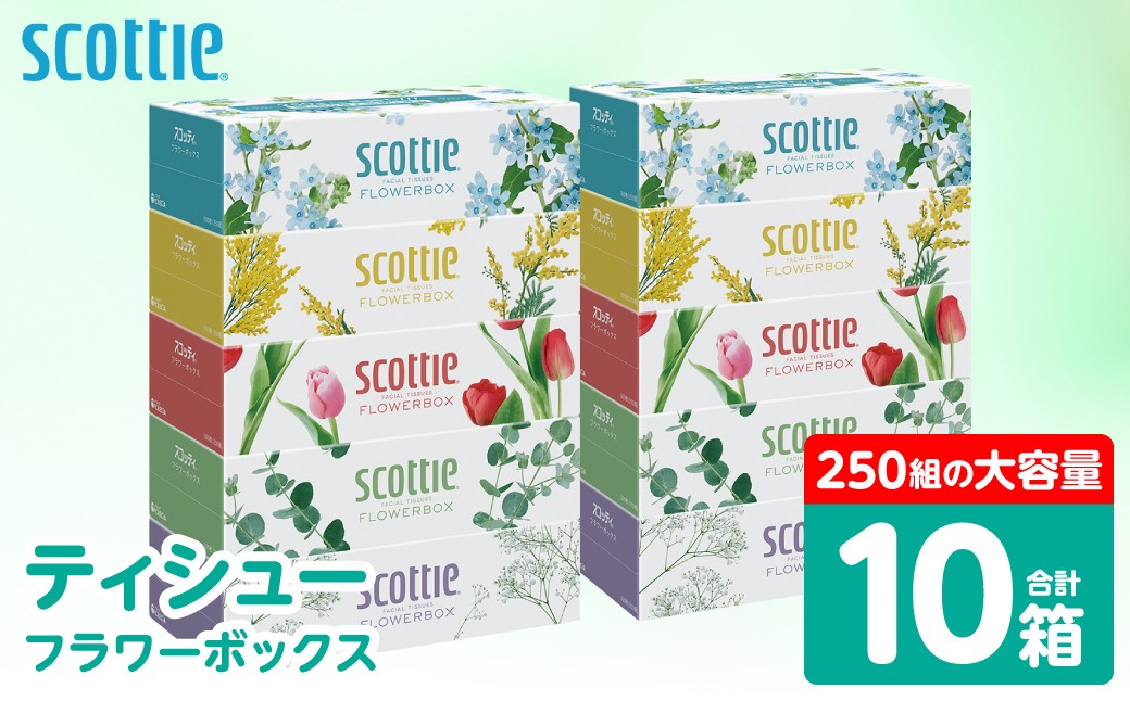 【スコッティ】ティシュー フラワーボックス 250組 5箱パック×2セット 合計10箱