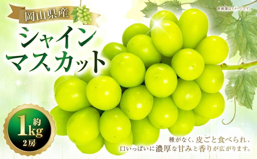 シャインマスカット2房約1kg