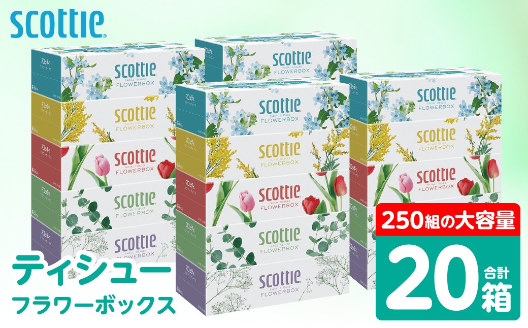 【スコッティ】ティシュー フラワーボックス 250組 5箱パック×4セット 合計20箱