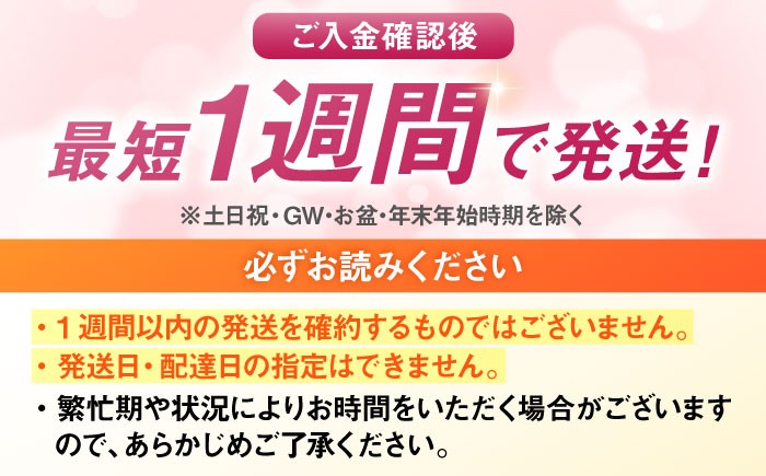 福岡県産 夢つくし パックご飯 計48パック （各200g）