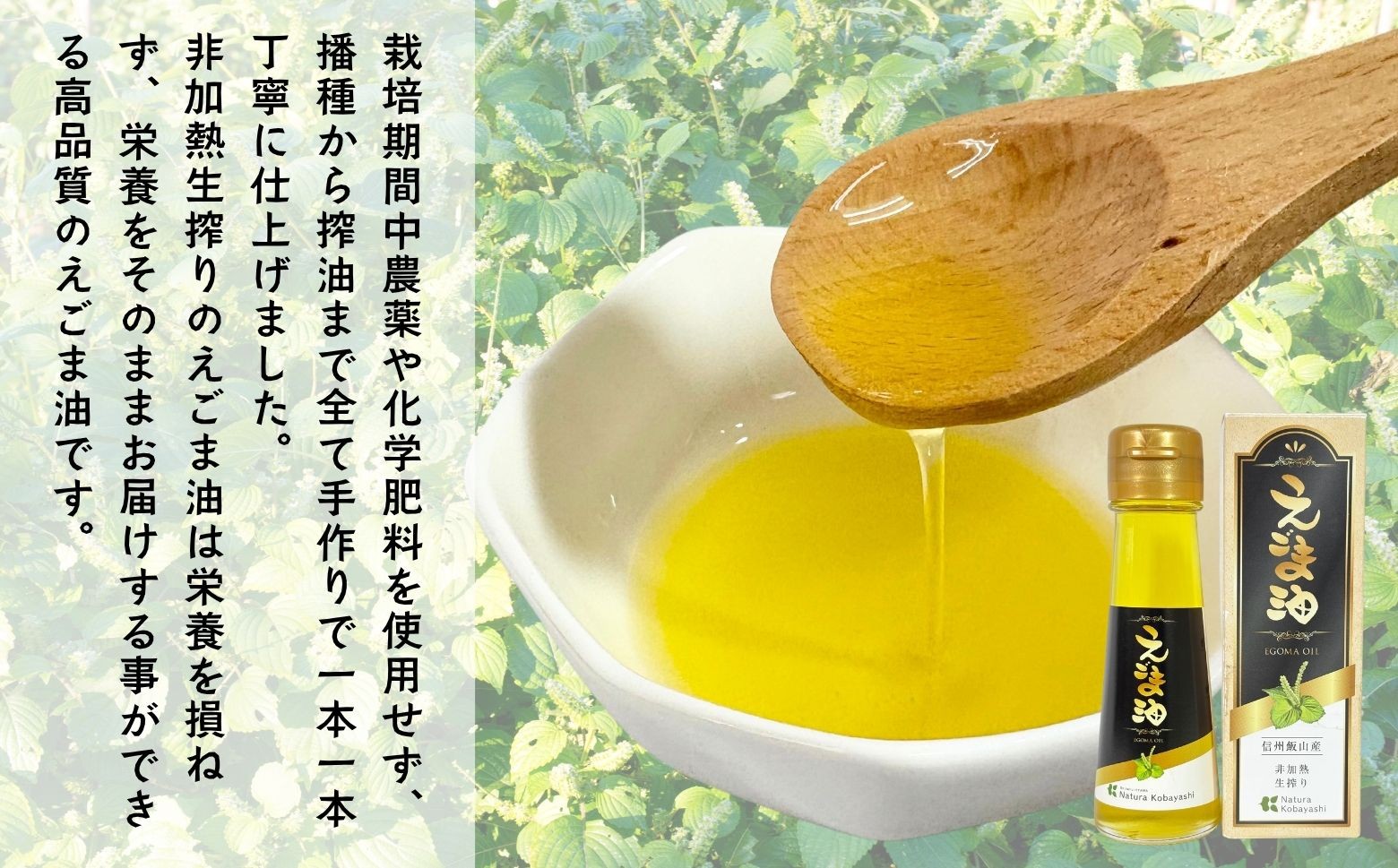 えごまが栽培される畑