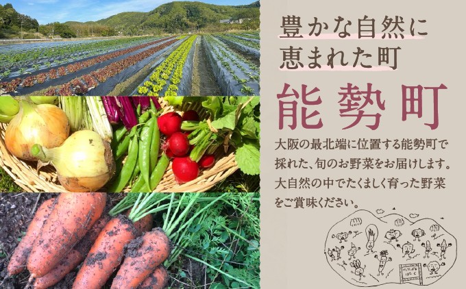 【能勢特産】《農家直送》  べじたぶるぱーくの旬の新鮮野菜詰合せ Lセット (10種類) | べじたぶるぱーく株式会社