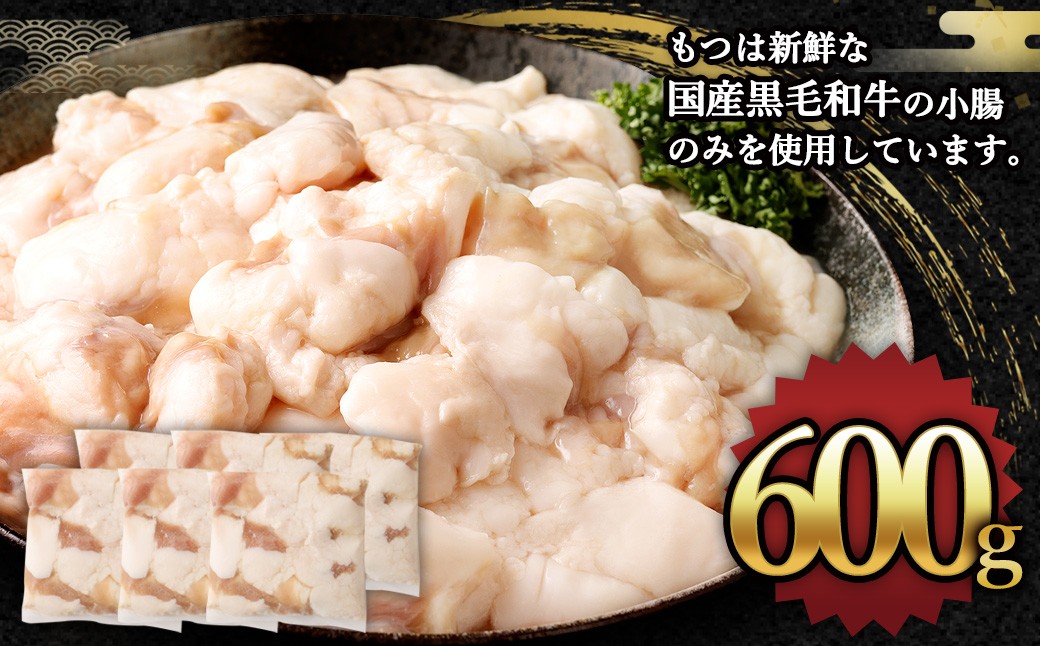 国産牛もつ鍋6人前 ちゃんぽん 濃縮スープ付（みそ味）