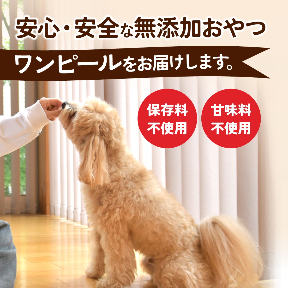 ペットフード ぺっとふーど 犬 イヌ いぬ わんちゃん ワンちゃん ごはん えさ エサ 餌 さつまいも サツマイモ
