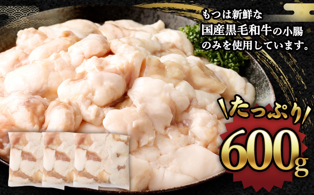 国産牛もつ鍋6人前 ちゃんぽん 濃縮スープ付（醤油味）