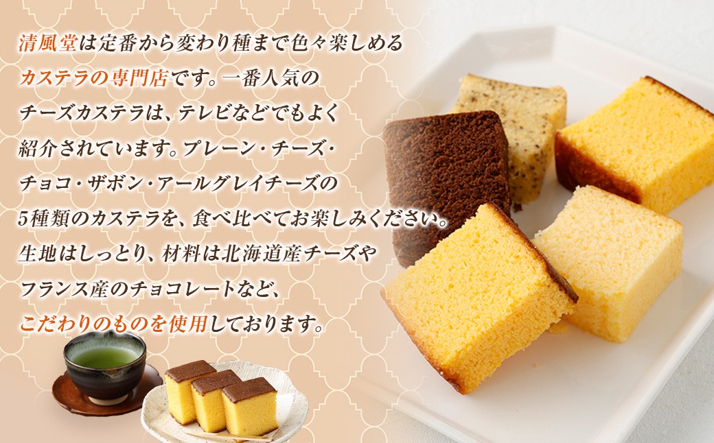 長崎カステラ 5種類 食べ比べセット かすてら スイーツ 洋菓子 お菓子 菓子