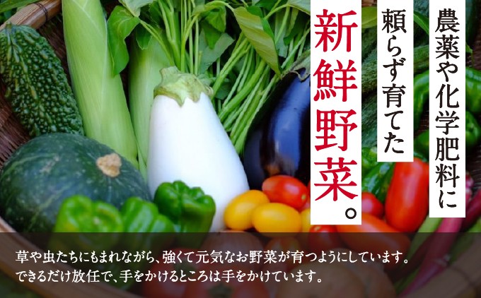 【能勢特産】《農家直送》 べじたぶるぱーくの旬の新鮮野菜詰合せ Mセット (7〜8種類) | べじたぶるぱーく株式会社