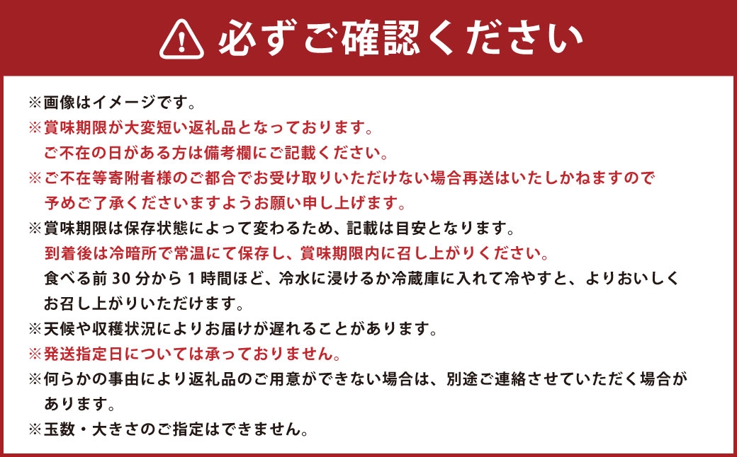 岡山白桃6～8玉約2kg